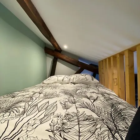Apartment Le Donjon : Centre Historique