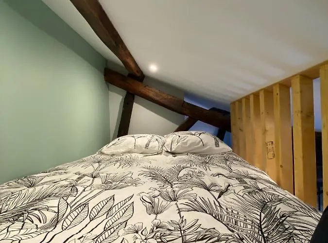 Apartment Le Donjon : Centre Historique